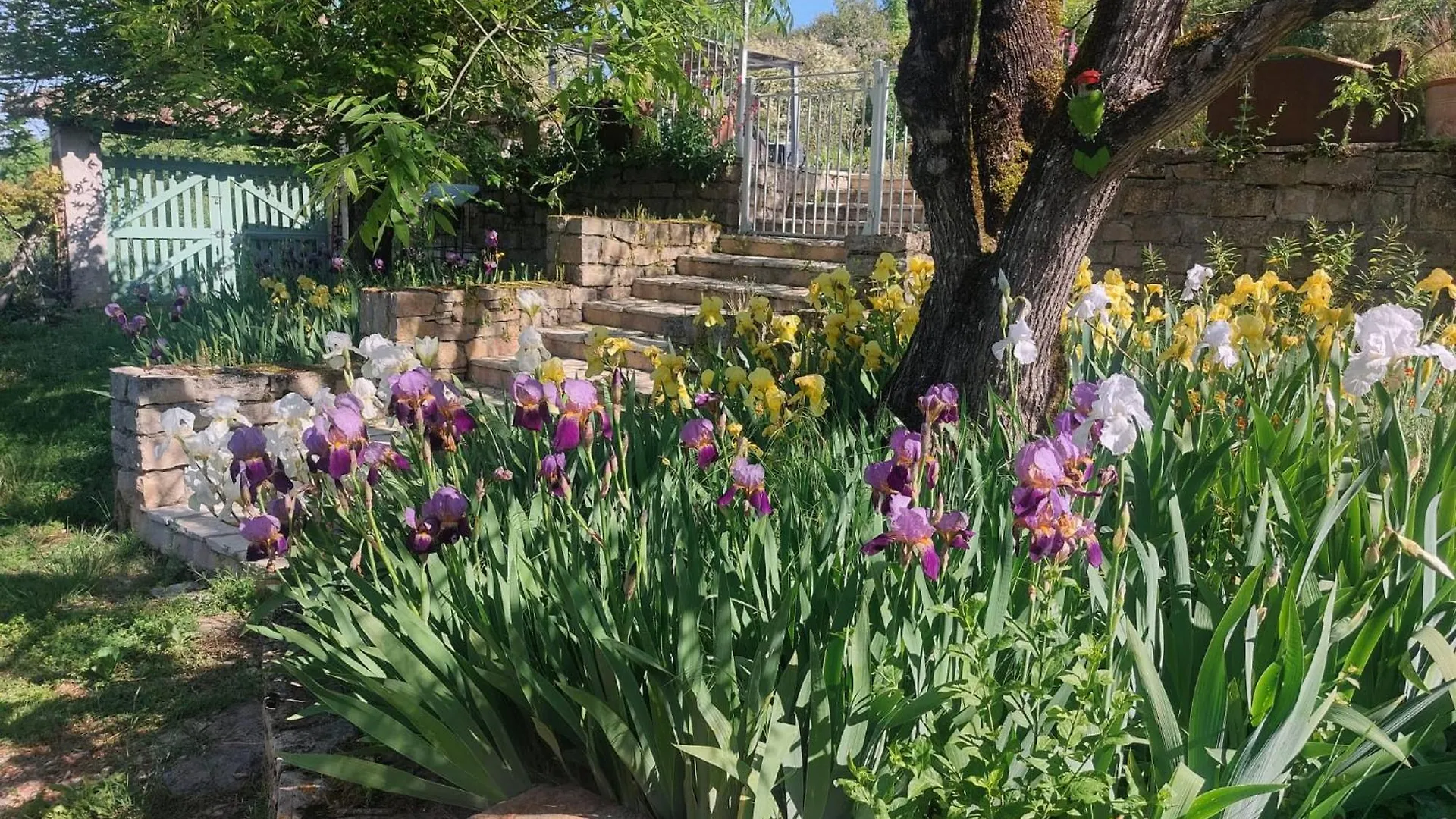 La Cachette Des Amoureux Bruniquel France